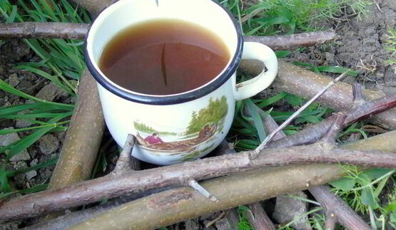 кофе из корней одуванчика