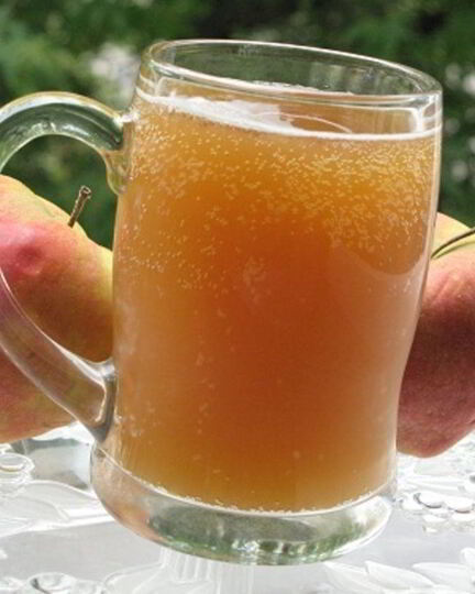 Рецепт кваса из березового сока с сухофруктами