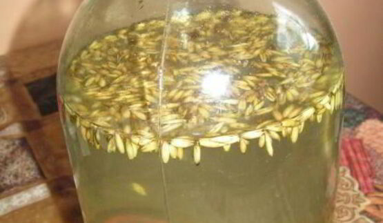 овсяный квас с изюмом