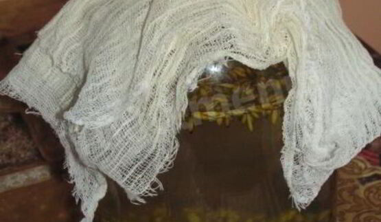 овсяный квас с изюмом