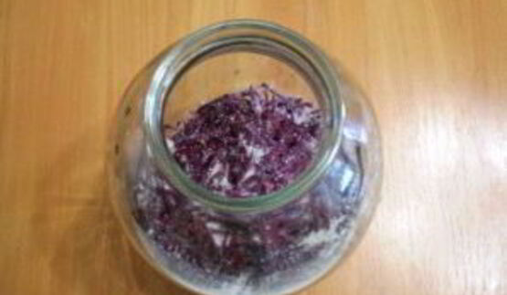 сыроедческий квас