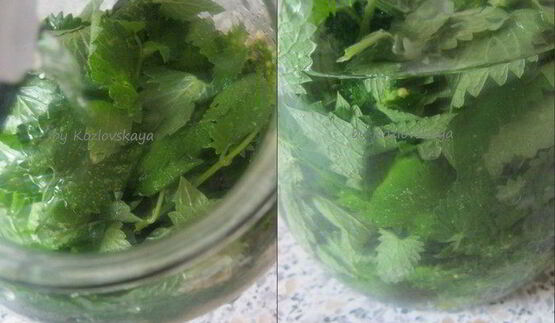 мятный ликер