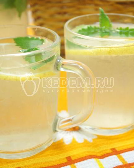 Рецепт лимонада из лимонов с мятой
