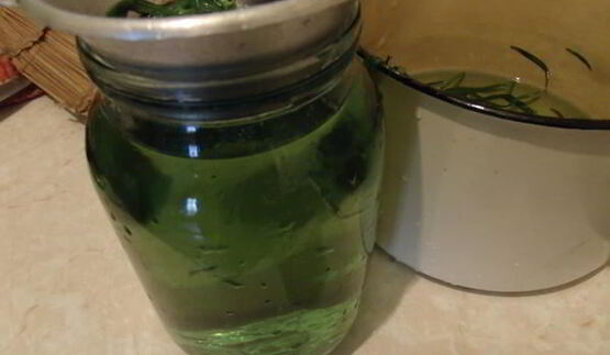 тархуновый лимонад