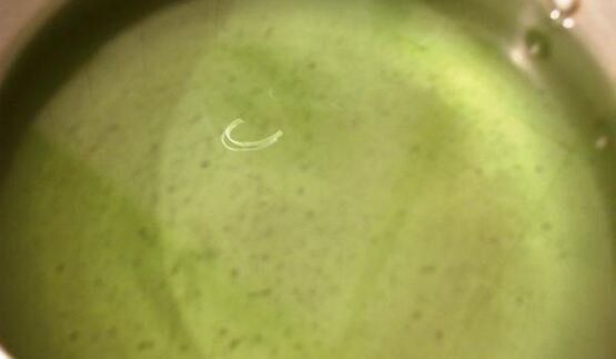 тархуновый лимонад