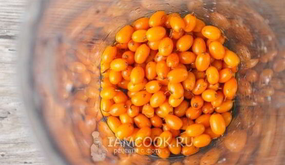 морс из облепихи