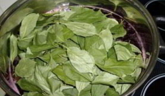 наливка из черноплодной рябины