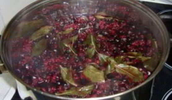 наливка из черноплодной рябины