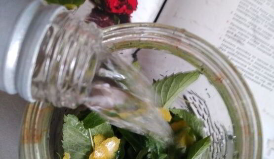 мятная настойка