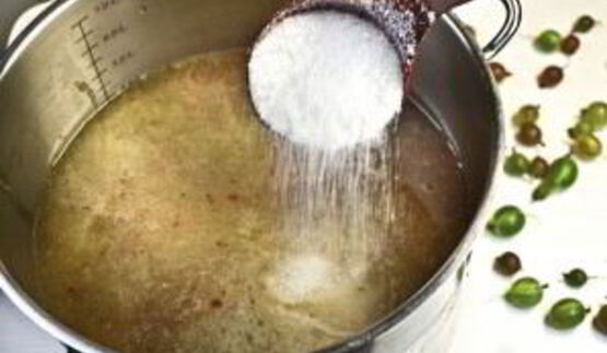 вино из крыжовника