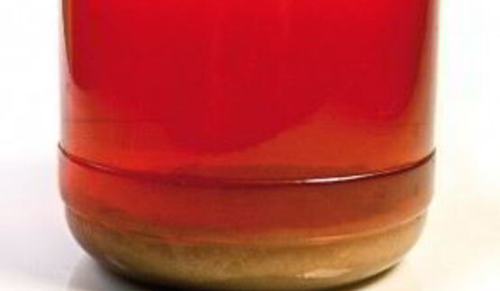 вино из крыжовника