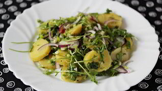 Салаты с руколой