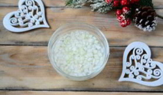 мимоза на год собаки