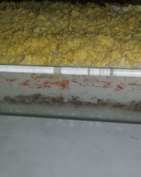 Салат Мимоза с тунцом, рисом и картофелем