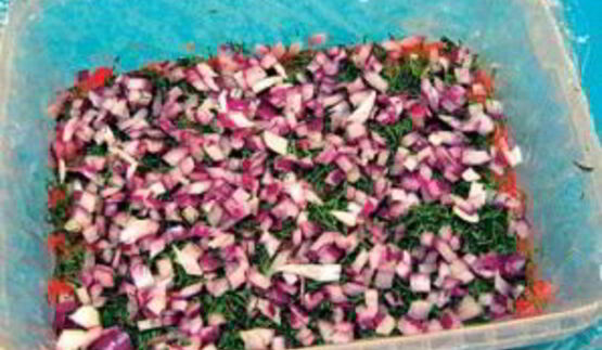 красная рыба под шубой салат