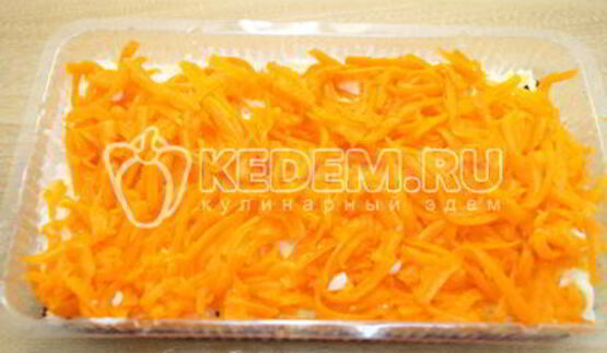 салат заливная селедка под шубой