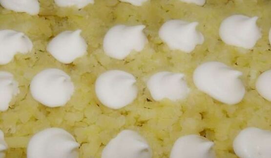 селедка под лисьей шубой