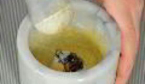 салат цезарь с индейкой на гриле