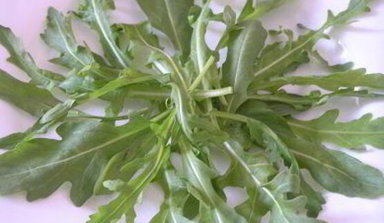 цезарь с семгой на листьях руколы