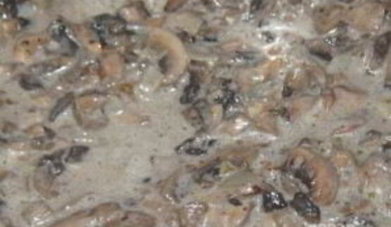 грибной соус из шампиньонов со сметаной