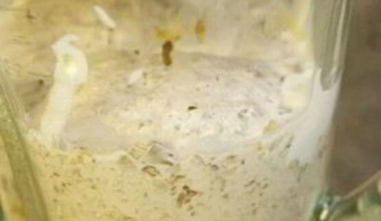 грибной соус