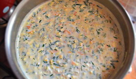 болгарский летний суп