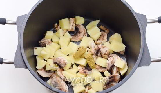 борщ с грибами