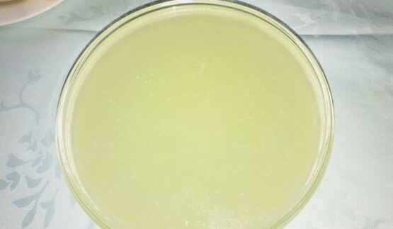 красный борщ из индейки