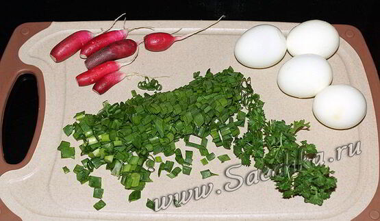 литовский холодный борщ