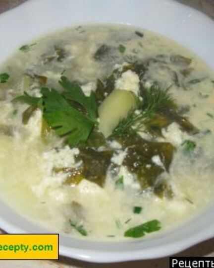 Рецепт вкусного щавелевого борща холодного