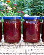 Заправка для борща на зиму с яблоками и болгарским перцем