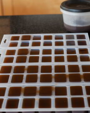 Бульон замороженный