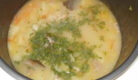 фасолевый суп на говяжьем бульоне