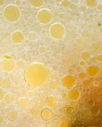 Мясной бульон с овощами