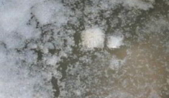 мясной бульон