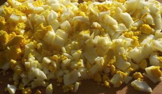 белорусский холодник