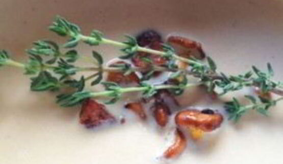 крем-суп из лисичек