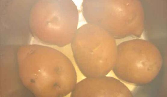 окрошка с майонезом