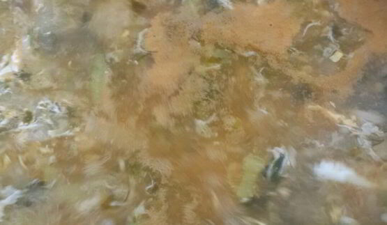 деревенские щи