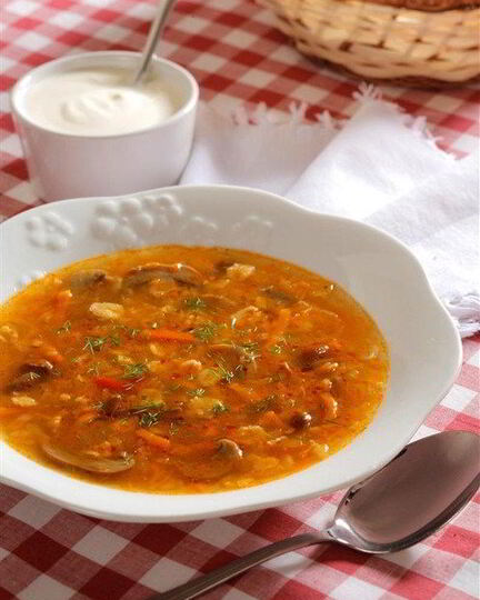 Рецепт щей из квашеной капусты на грибном бульоне