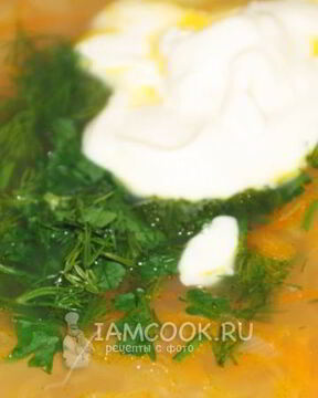 Щи из квашеной капусты с индейкой