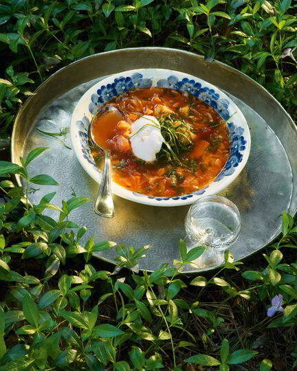 Рецепт щей из молодой капусты с побегами чеснока