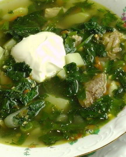Рецепт щей из щавеля с мясом