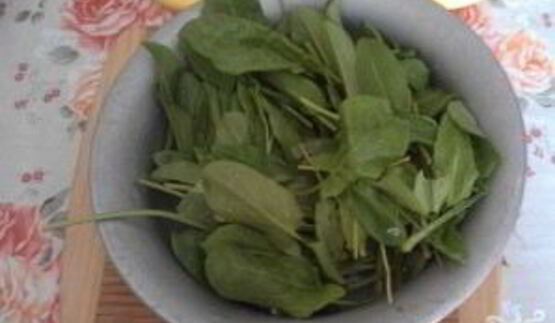 щи из щавеля с мясом