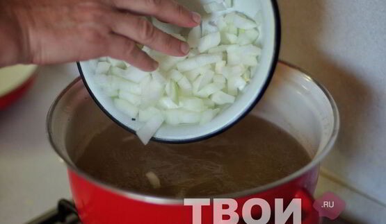 щи из щавеля