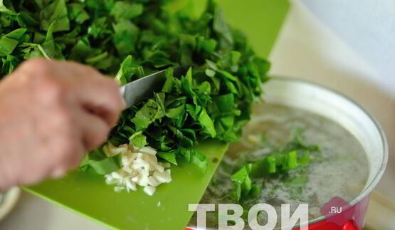 щи из щавеля
