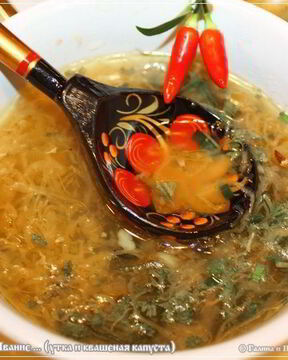 ЩИ кислые с уткой