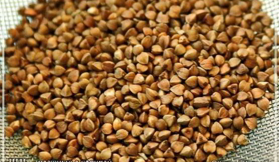 щи постные с гречкой и квашеной капустой