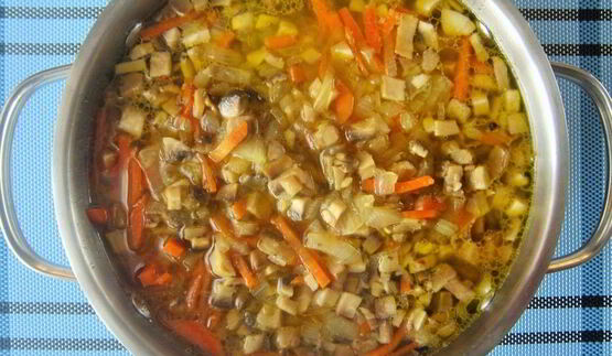 свежие щи с грибами