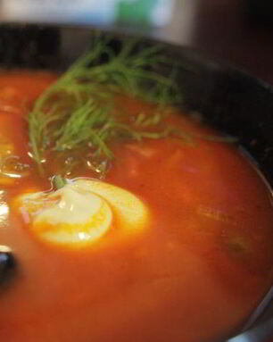 Быстрая солянка